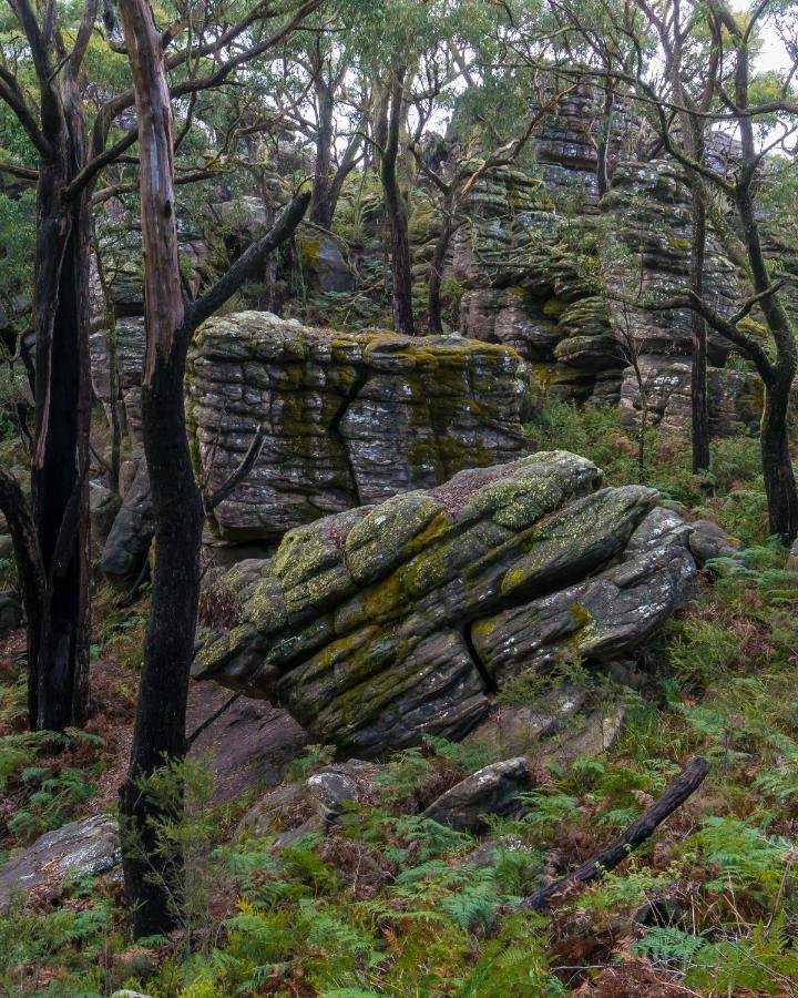 Wonderland Cottages Halls Gap Bagian luar foto