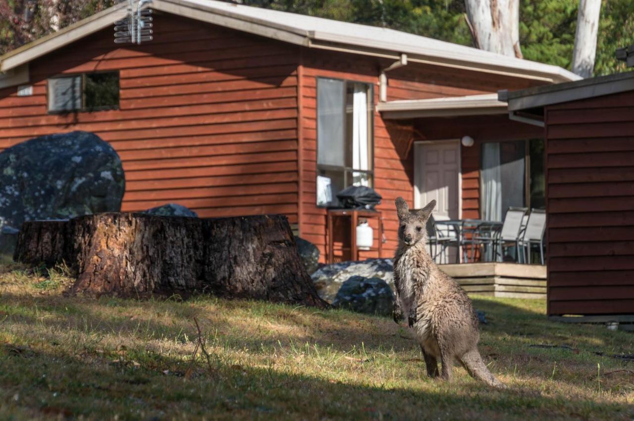 Wonderland Cottages Halls Gap Bagian luar foto